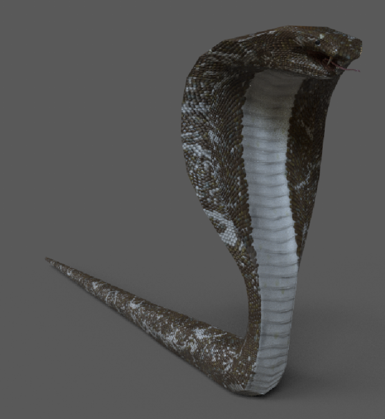 Snake